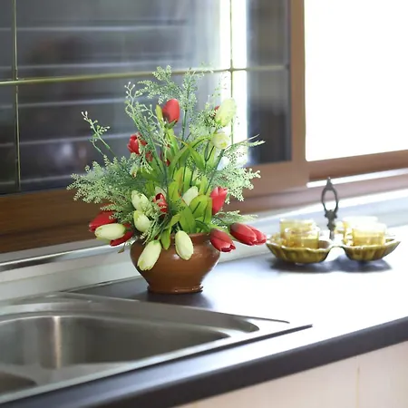 Apartment Fjorentin *